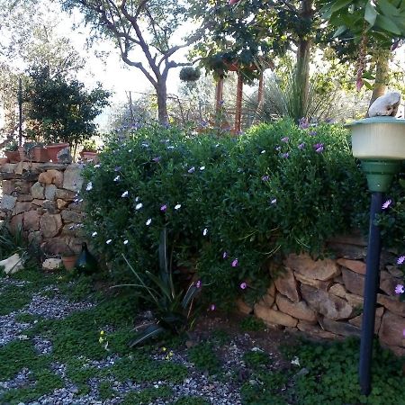 Appartamento Titina Jerzu Exterior foto